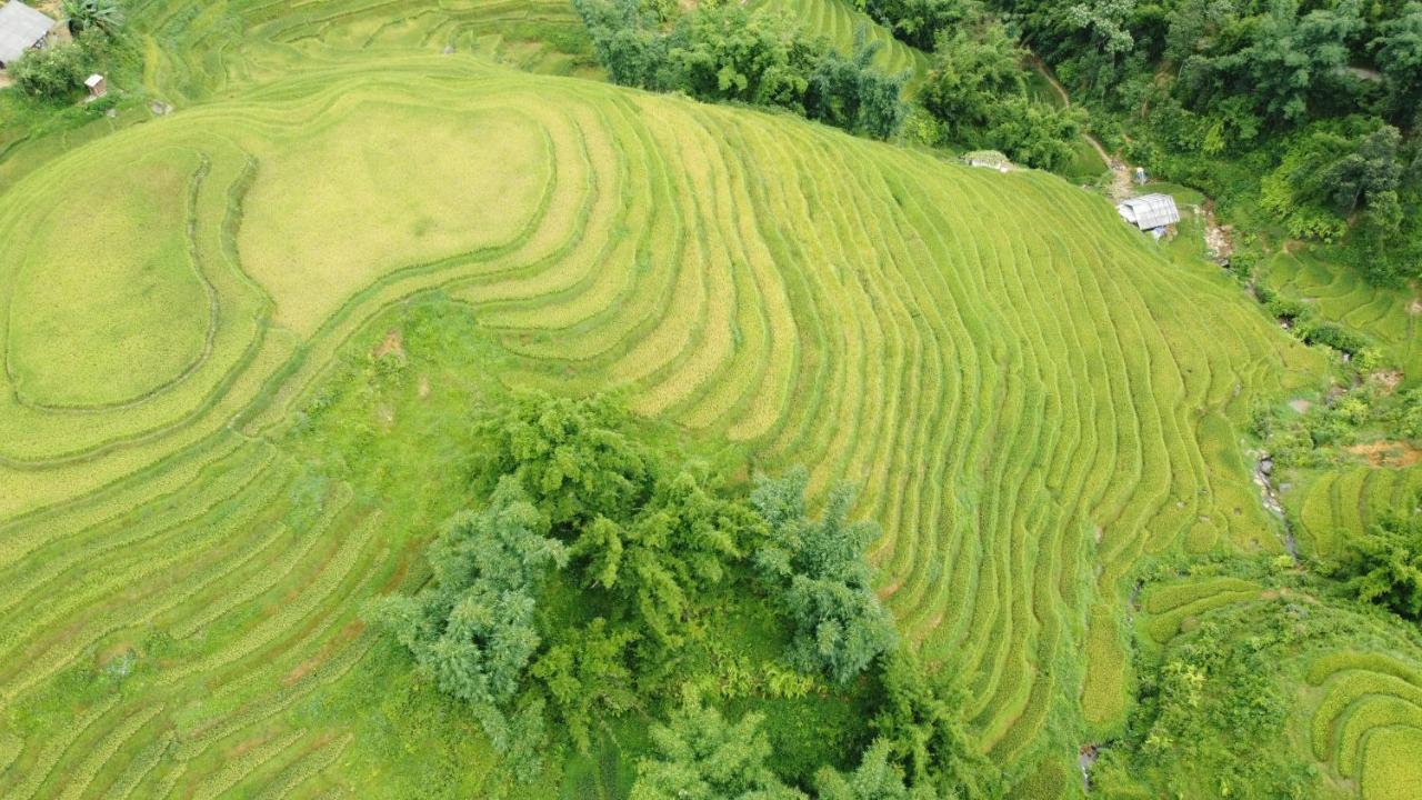 May Homestay Sapa Exteriör bild